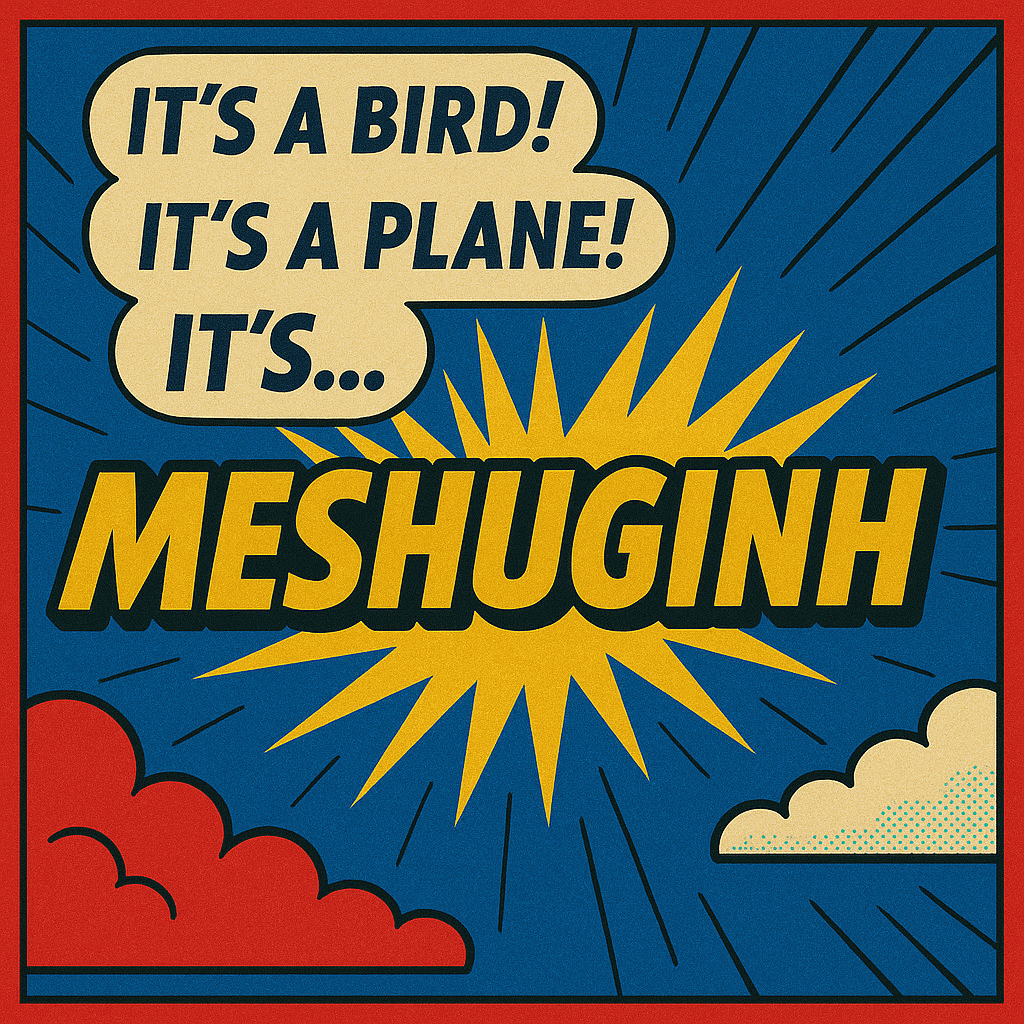 Read more about the article It’s a Bird, It’s a Plane, it’s Meshuginh!